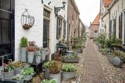 Flower filled window boxes. Urban gardening landscaping design. floral decor of the house territory in the old European town  pots of flowers near the entrance to the house. Elburg  Netherlands.