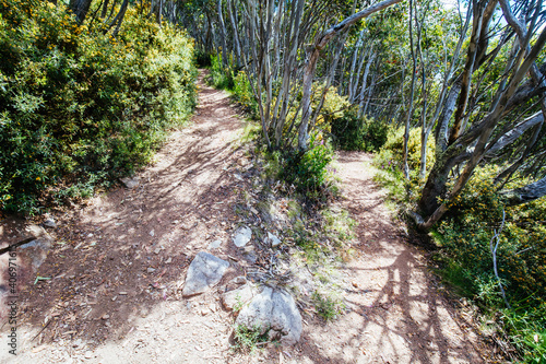 Mount Buller Walking and Biking Trails in Summer photo