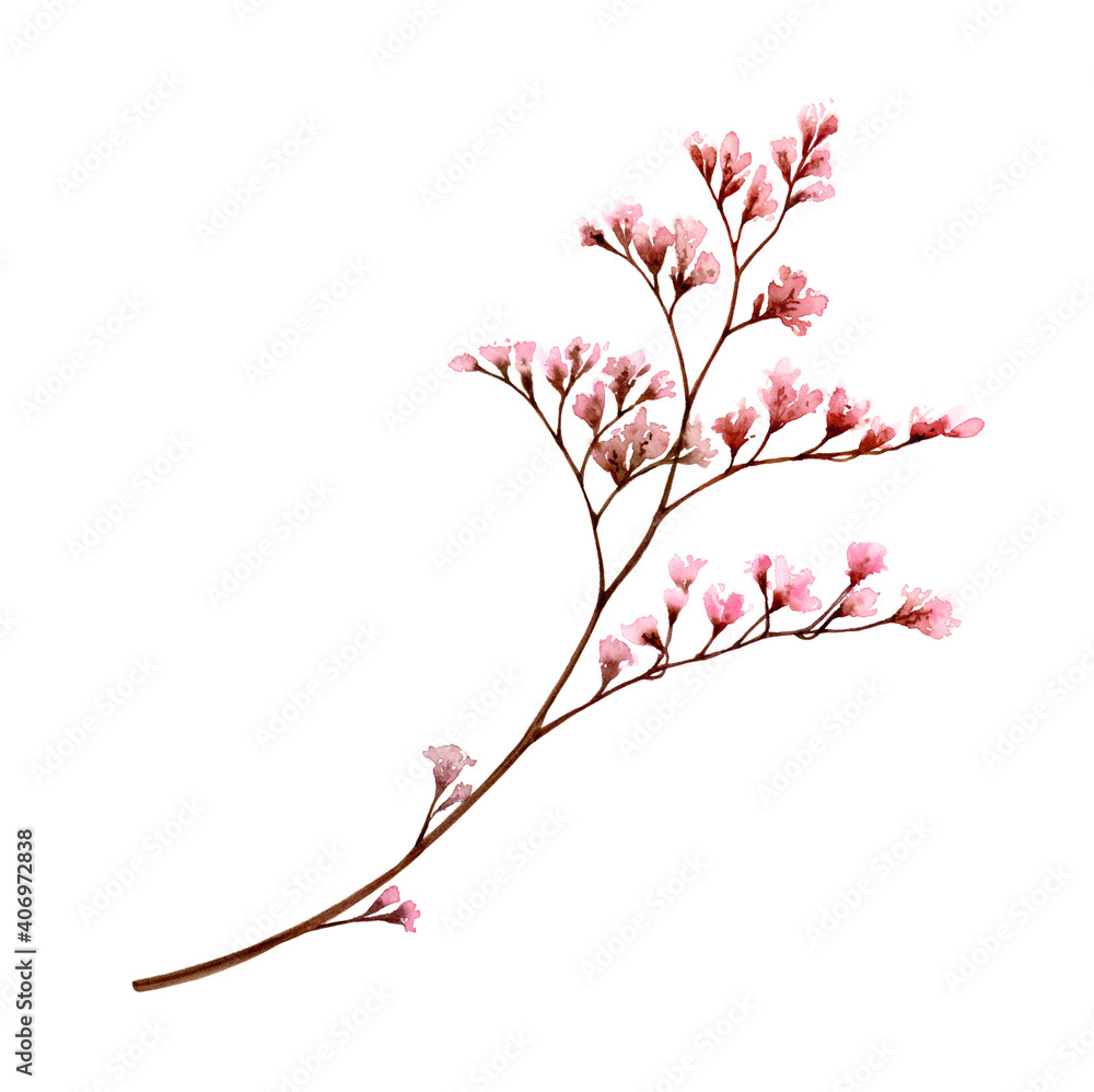 Watercolor branch with small pink flowers. Bouquet element isolated on white. Hand painted vintage artwork. Botanical illustration for cards, wedding design Watercolor branch with small pink flowers. Bouquet element isolated on white. Hand painted vintage artwork. Botanical illustration for cards, wedding design