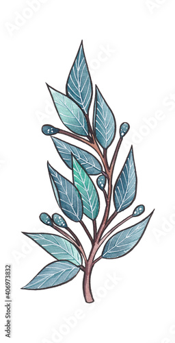 Hand-drawn watercolor blue & tturquoise twigs, leaves and buds isolated on white background
