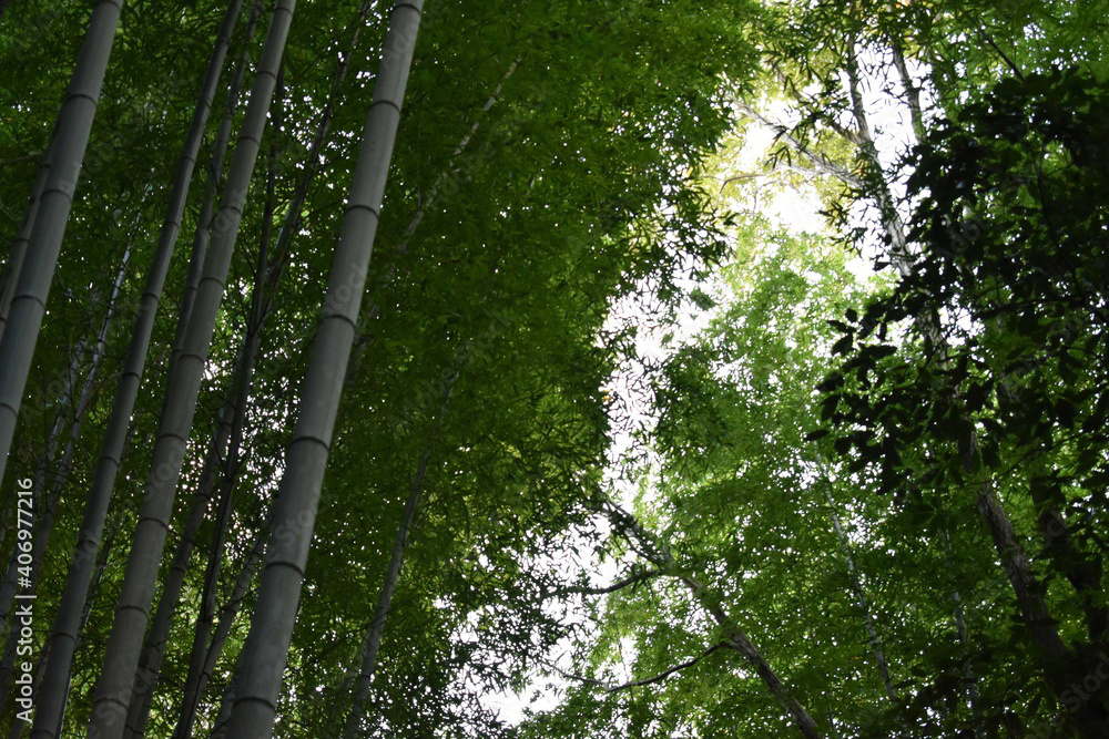 滋賀県の良いところ