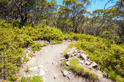 Mount Buller Walking and Biking Trails in Summer photo