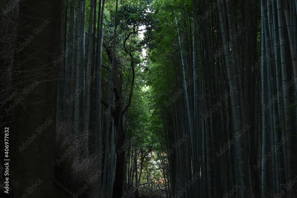 滋賀県の良いところ