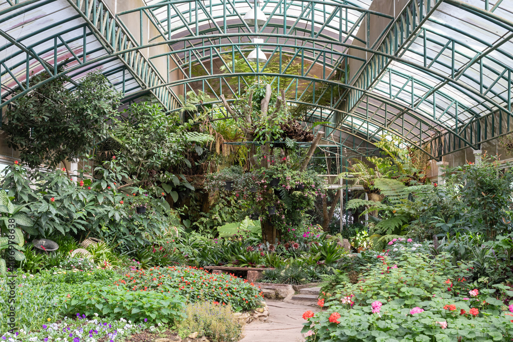 interior view of tree and houseplant garden in greenhouse