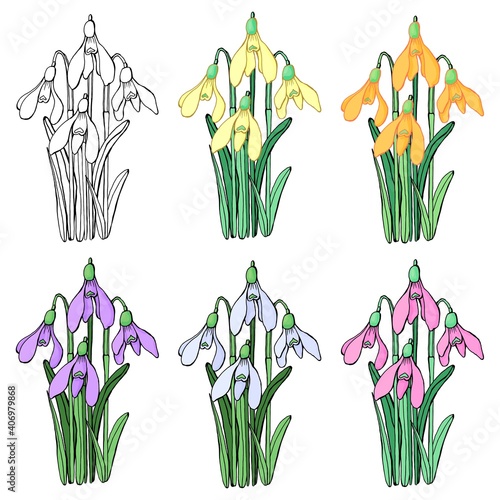 Set of bouquets of spring flowers. Line art. Vector graphics. Isolated elements.