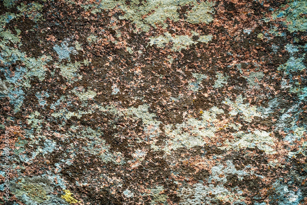 Multi-colored mold texture on the stones Multi-colored mold texture on the stones