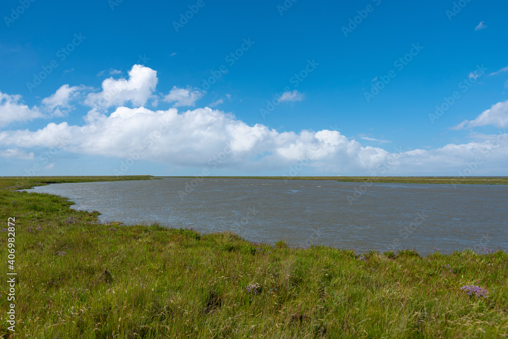 Landscape with salt marshes by Fedderwardersiel