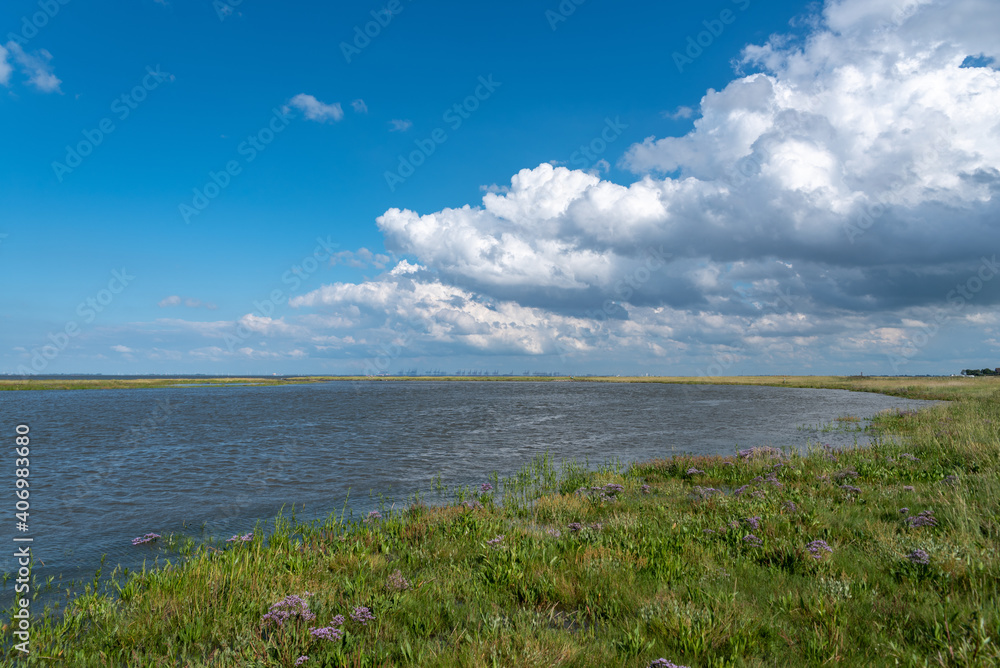 Coming tide in the salt marshes by Fedderwardersiel Coming tide in the salt marshes by Fedderwardersiel