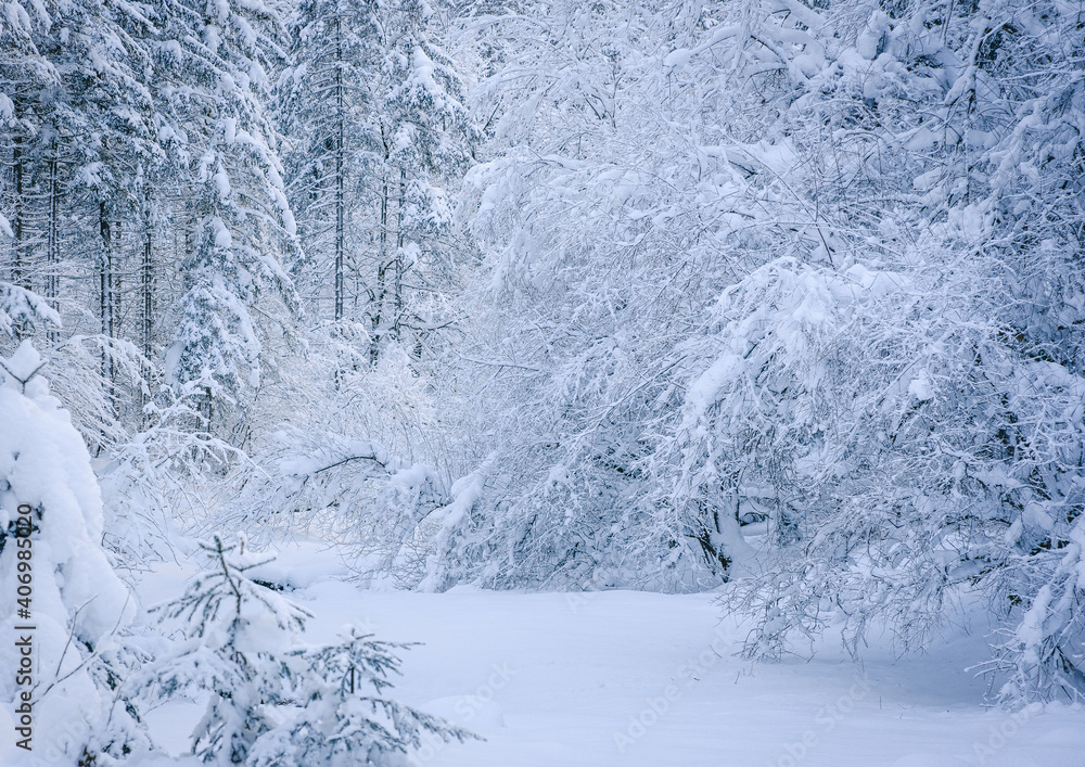 wunderschön verschneite winterlandschaft im Salzburger Land wunderschön verschneite winterlandschaft im Salzburger Land