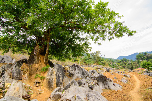 Photo of Tua Chua Stone Plateau, Tua Chua District, Dien Bien Province, Vietnam
