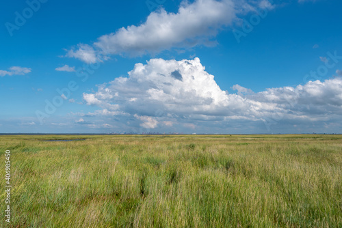 Landscape with salt marshes by Fedderwardersiel