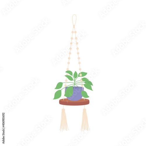 indoor plant on Decorative macrame handmade hanger