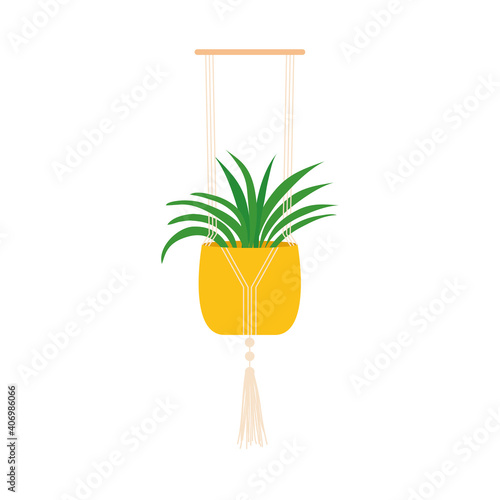 beautiful plant in a yellow pot on a macrame hanger, colorful design