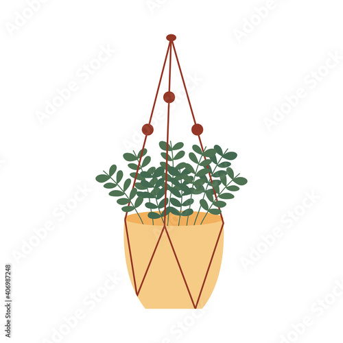 Houseplant in yellow pot, macrame plant hanger