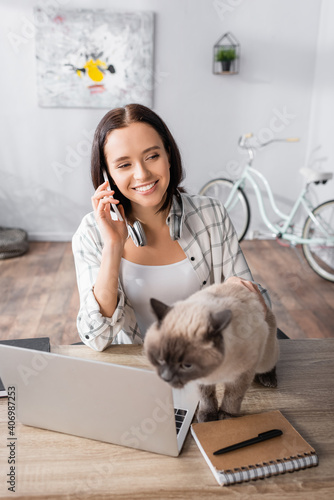 cheerful freelancer talking on mobile phone near cat and laptop on table