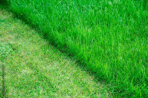 Partially cut grass lawn. Green fresh grass. Difference between perfectly mowed, trimmed garden lawn or field for sports and long uncut grass. Lawn, carpet, natural green trimmed grass field.