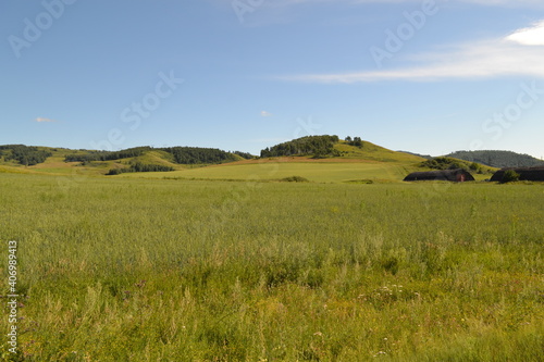 field and blue sky