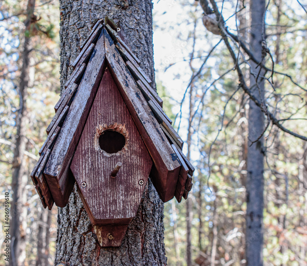 Wooden bird house on a tree