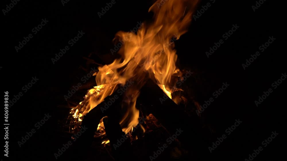 budling campfire flame from wood in the jungle budling campfire flame from wood in the jungle