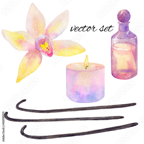 Essential oil in bottle, vanilla flower and sticks, burning candle in pastel pink tones. Vector elements for design. Hand drawn watercolor illustration. Isolated on white background.