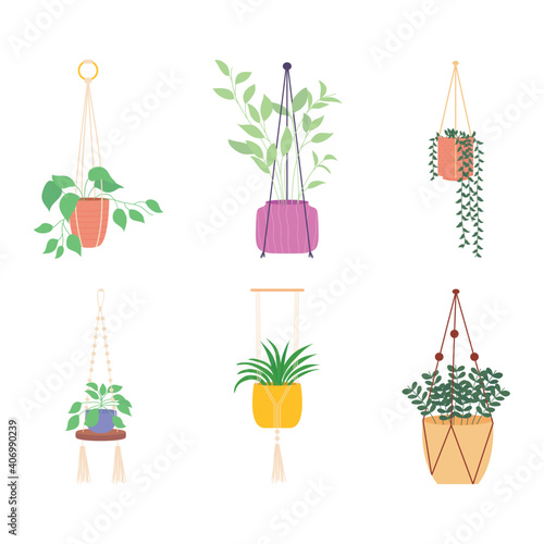 decorative hanger plants icon set, colorful design