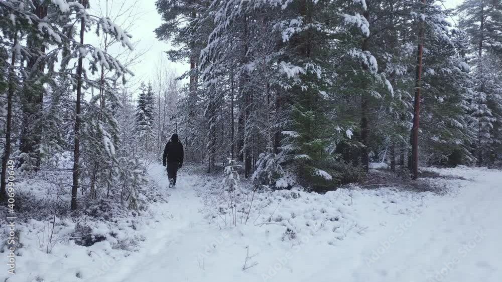 man walking away on a hiking trail in a snow covered woodland man walking away on a hiking trail in a snow covered woodland