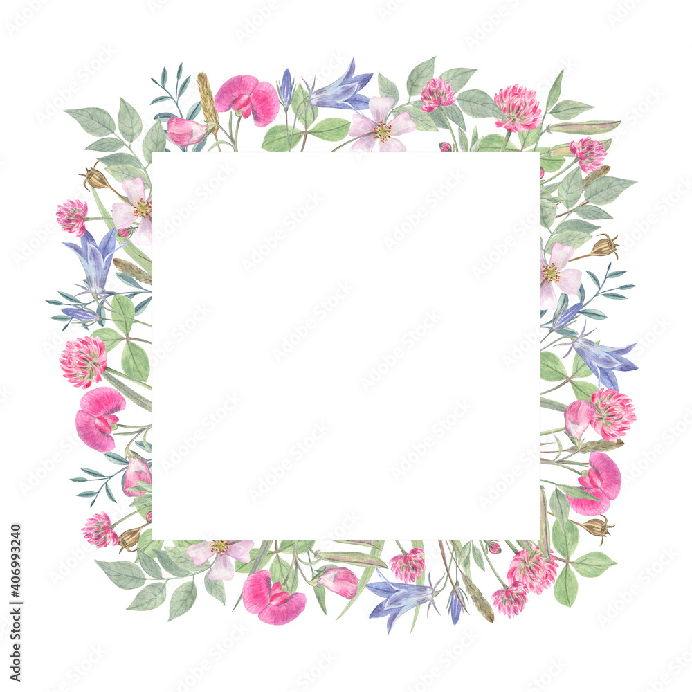 Wild flowers frame on white isolated background. Watercolor hand drawn elements. Elegant and beautiful flowers composition for spring and summer.