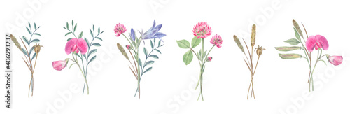 Watercolor illustration of set of mini-bouquets of wild flowers: clover, bluebell, sweet peas, rose and herbs. Tender drawings on white isolated background.