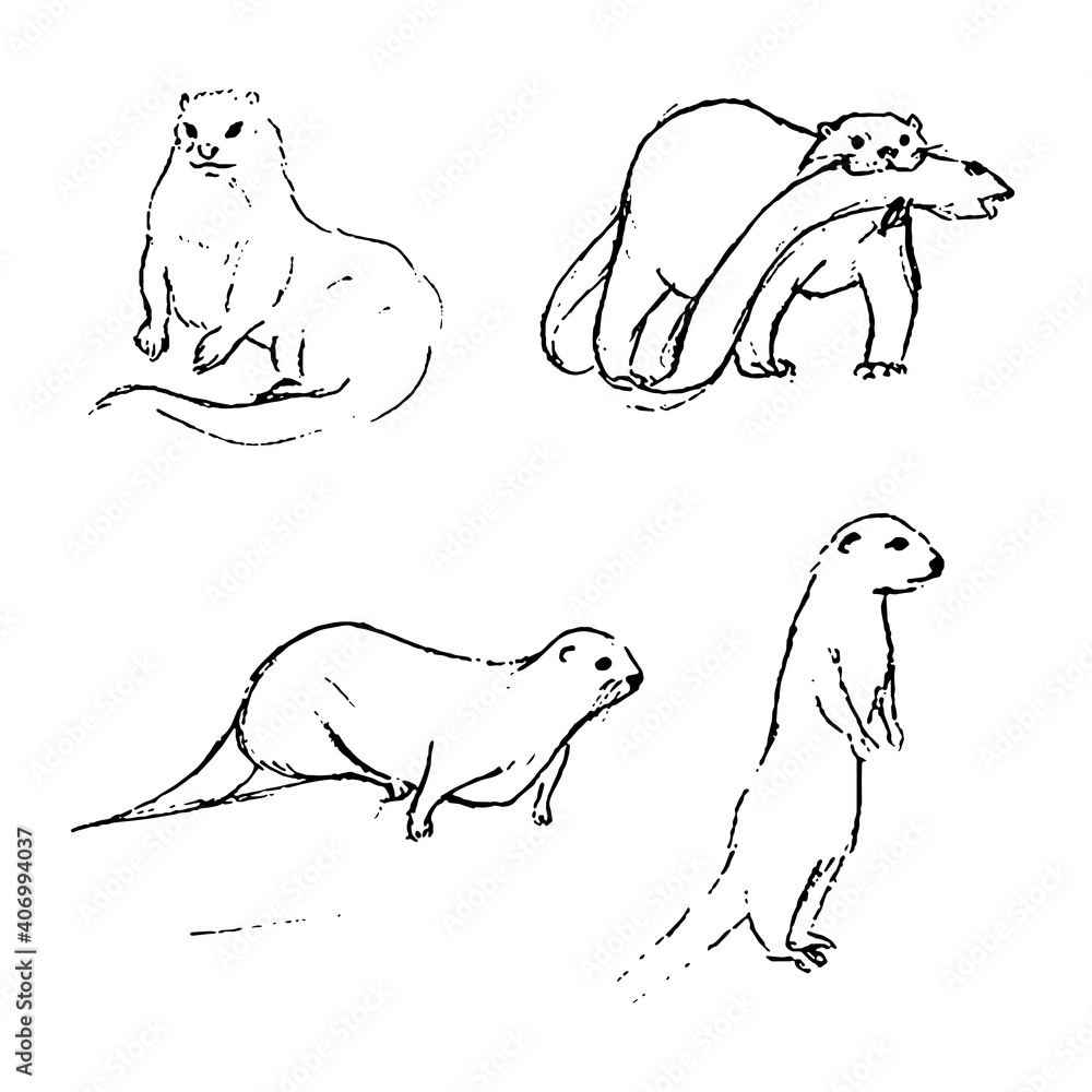 Force Animal Drawing Animal locomotion and design concepts for animators -  Flipbook by PUSAT SUMBER SK METHODIST TANJONG RAMBUTAN | FlipHTML5