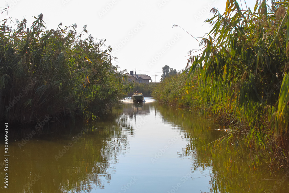 the fisherman swims by boat through the reeds the fisherman swims by boat through the reeds