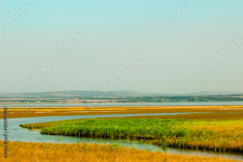 a flock of seagulls on the pond against the background of the city and the colorful meadow. Anapa, Krasnodarskij Kraj, Russia. landscape background photo