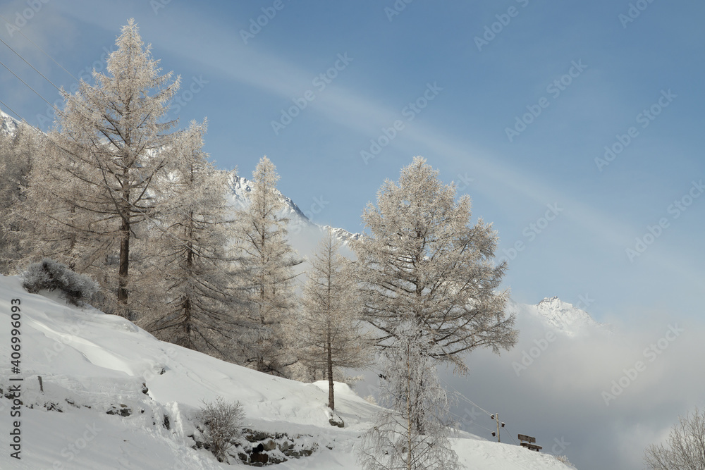 Winter Landscape in Switzerland