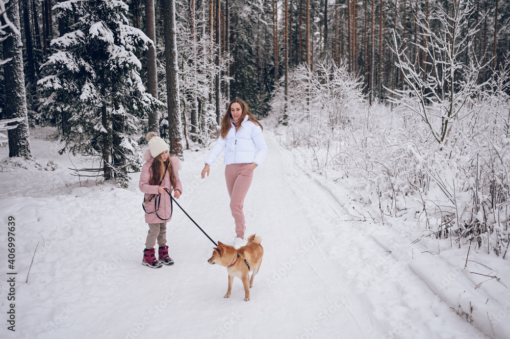 Happy family young mother and little cute girl in pink warm outwear walking having fun with red shiba inu dog in snowy white cold winter forest outdoors. Family sport vacation activities. Happy family young mother and little cute girl in pink warm outwear walking having fun with red shiba inu dog in snowy white cold winter forest outdoors. Family sport vacation activities.