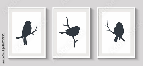 Set of white frames with shadow on gray wall for interior design. Collection of decorative bird silhouette on twig. Vector stock illustration.