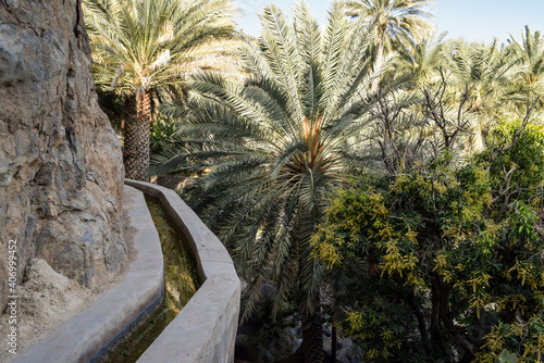 A falaj (ancient irrigation system) running through the orchards of date palms in Misfat Al Abriyeen, Oman. photo