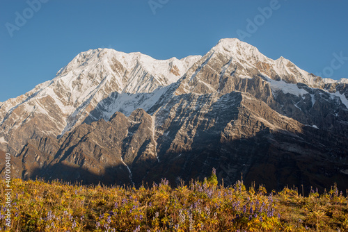 trekkingof machapuchare in nepal