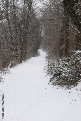 verschneiter Weg auf dem Kranenberg Andernach photo