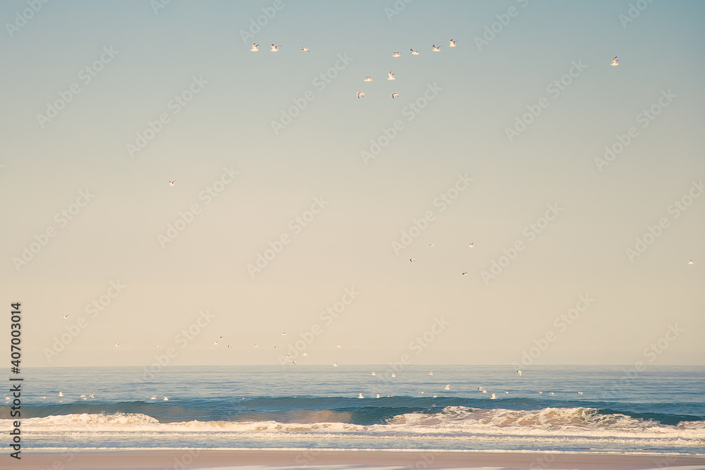 Scenic view of wet golden sand, ocean or sea, flying gulls and blue clear sky. Wide shot. Nature concept