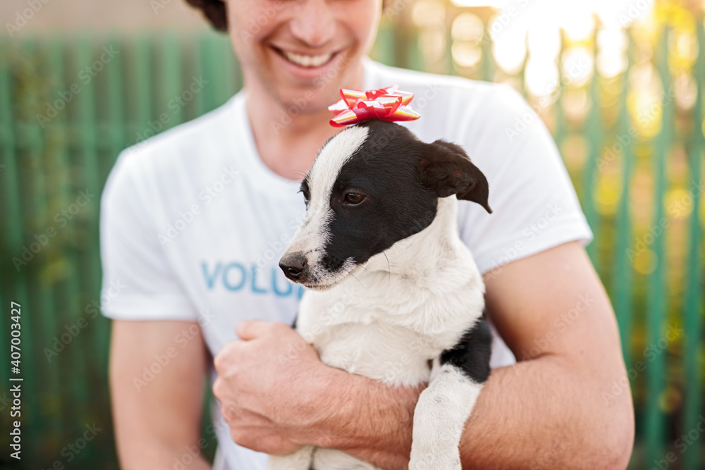 Crop happy man holding dog with bow Crop happy man holding dog with bow