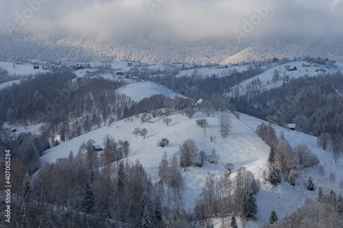 Winter landscape of the frosty forest in the Carpathian Mountains