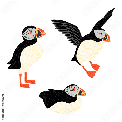 Set Puffins isolated on white background. Cute seabirds in different poses sit, stand, flying. Character Fratercula arctica in style doodle.