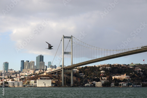 Bosphorus Bridge and a seagull in Istanbul