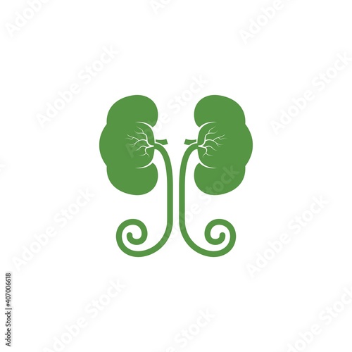 kidney icon vector illustration design
