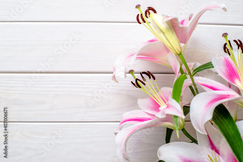 A branch of white lilies on a white wooden background 