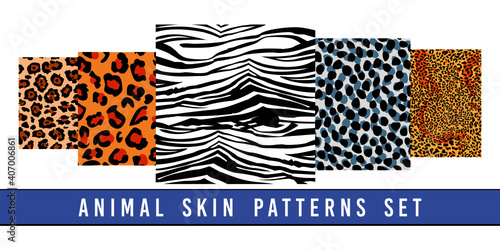 set of animal print vector patterns