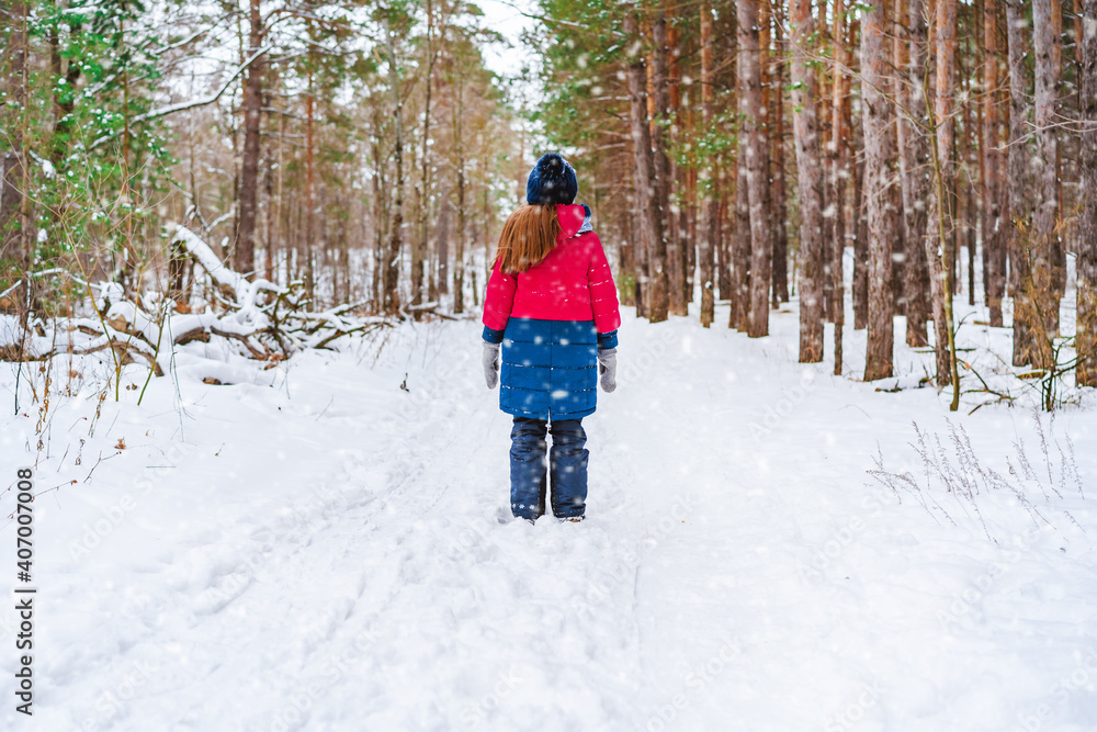 Rear view of a little girl in a red jacket standing in the middle of a path in a winter pine forest