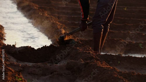 Indian farmer work,Steam escaping from water,silhouette view scene of an Indian farmer,Farmer working in the fields,cultivation of land the village of Gujarat in India