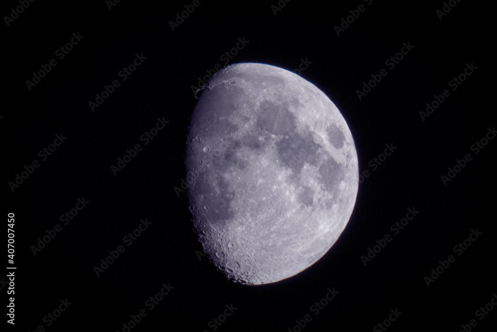 Fototapeta premium moon