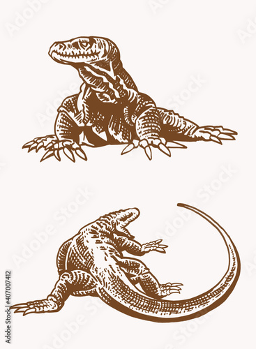 Vector vintage set of varans, sepia background,vector