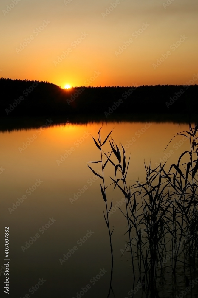 Red sunset over the lake. In the foreground are reeds. Red sunset over the lake. In the foreground are reeds.